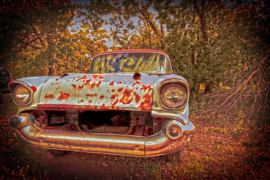 Old Car In the Backwoods Photograph by Toni Hopper