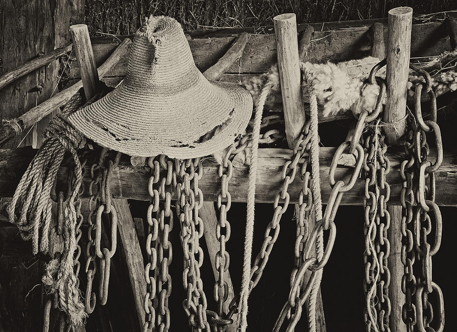 In the Barn Photograph by Nancy De Flon