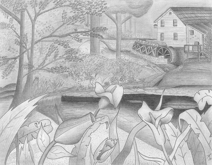 Pencil Drawings of Country Scenes  Line art drawings Drawings Pencil  drawings