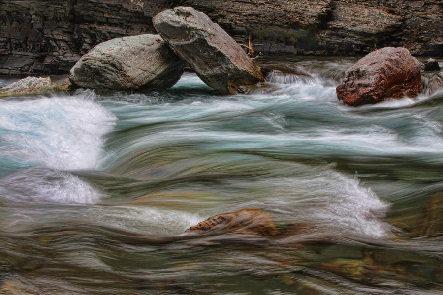 In the Creek Photograph by Shari Jardina