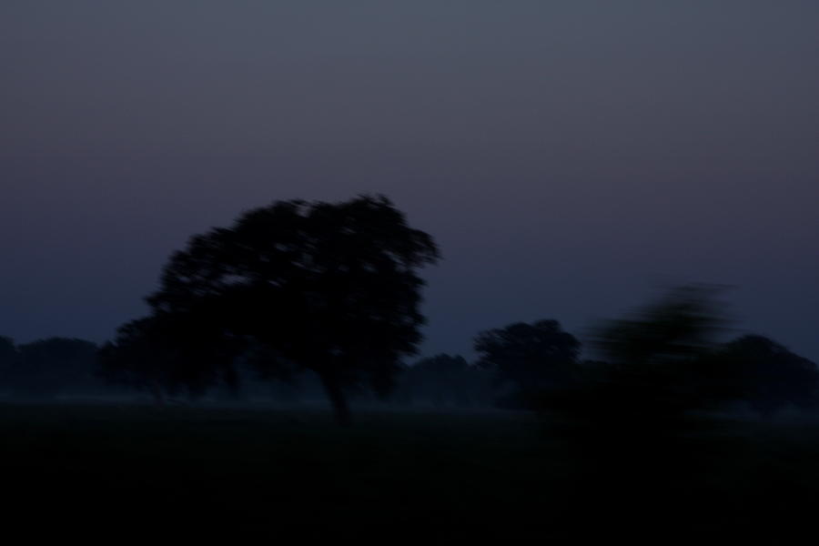 Sunset Photograph - In the Field by Alyssa Marek