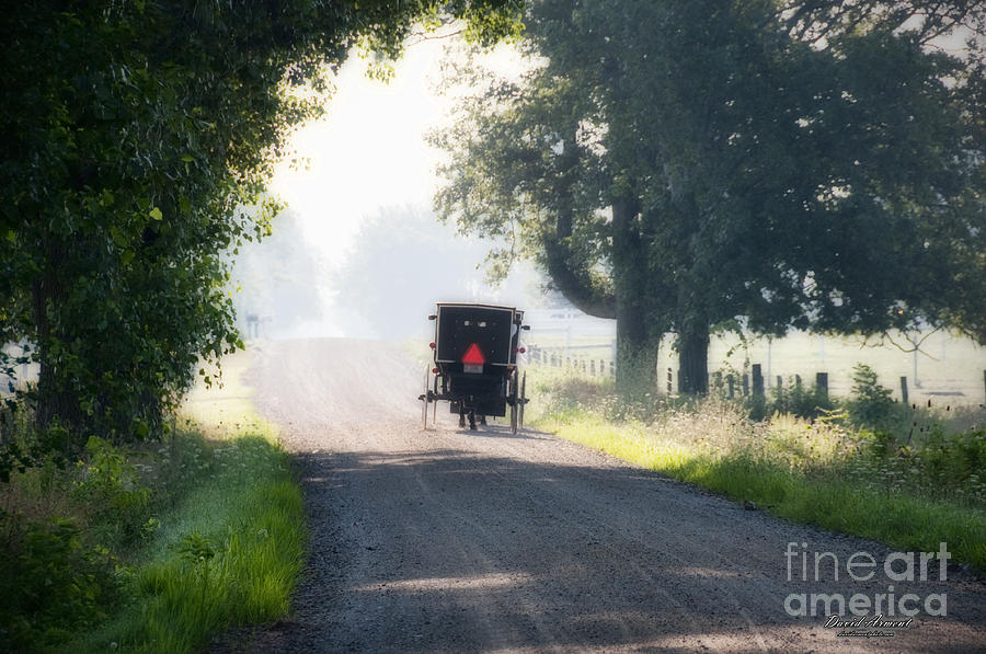 Amish Photograph - In the Heat of the Day by David Arment