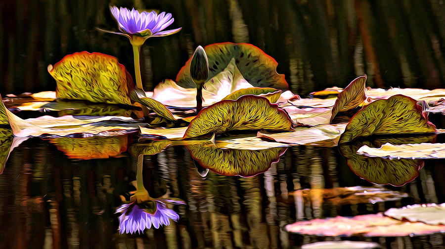 Lily Digital Art - In The Lily Pond by Ray Bilcliff