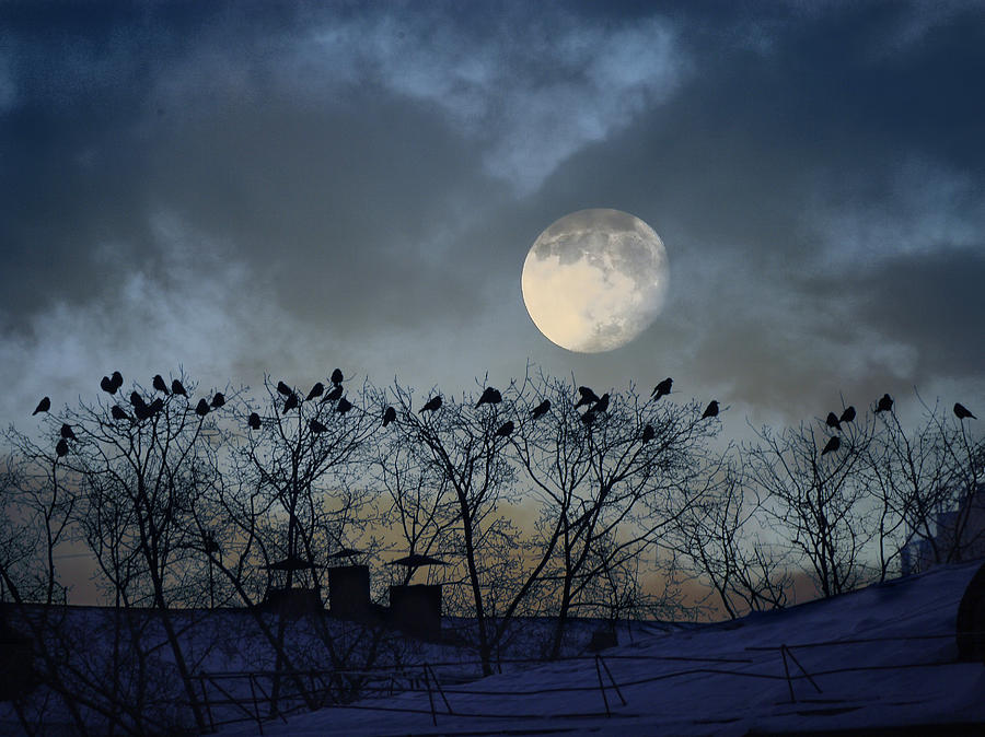 Landscape Photograph - In the Moon Light by Vladimir Kholostykh