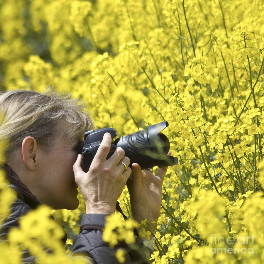 In the Rape Field Photograph by Heiko Koehrer-Wagner