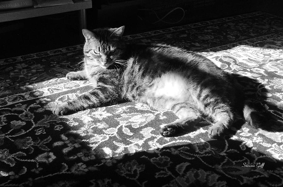 Black And White Photograph - In the Sunbeam in Black and White by Suzanne Gaff