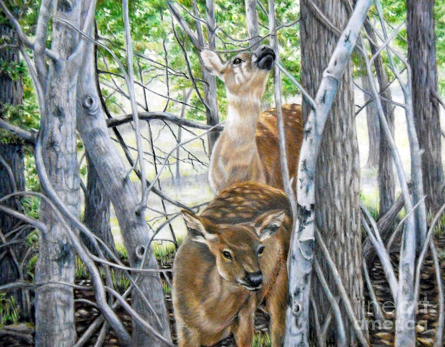 In the Thicket of Things by Beverly Fuqua In the Thicket of Things by Beverly Fuqua