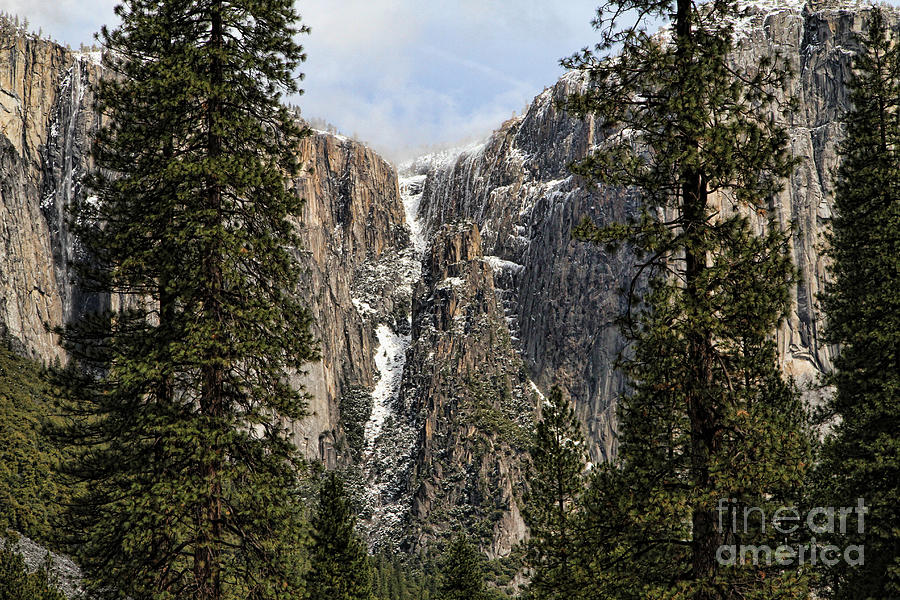 In Yosemite Photograph by Edward R Wisell