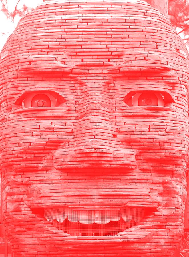 Architecture Photograph - IN YOUR FACE in NEGATIVE LIGHT RED by Rob Hans