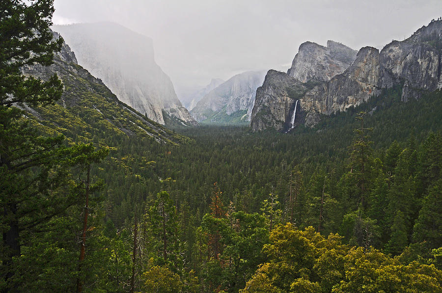 Yosemite National Park Photograph - Incoming Storm by Lynn Bauer