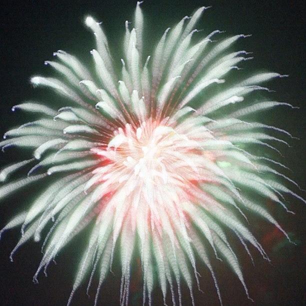 Usa Photograph - #independanceday #fireworks #nofilter by Charles Dowdy