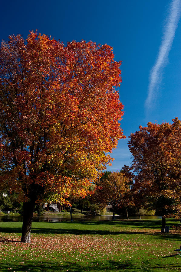 Indian Summer Canada Photograph by Eric Galton | Fine Art America