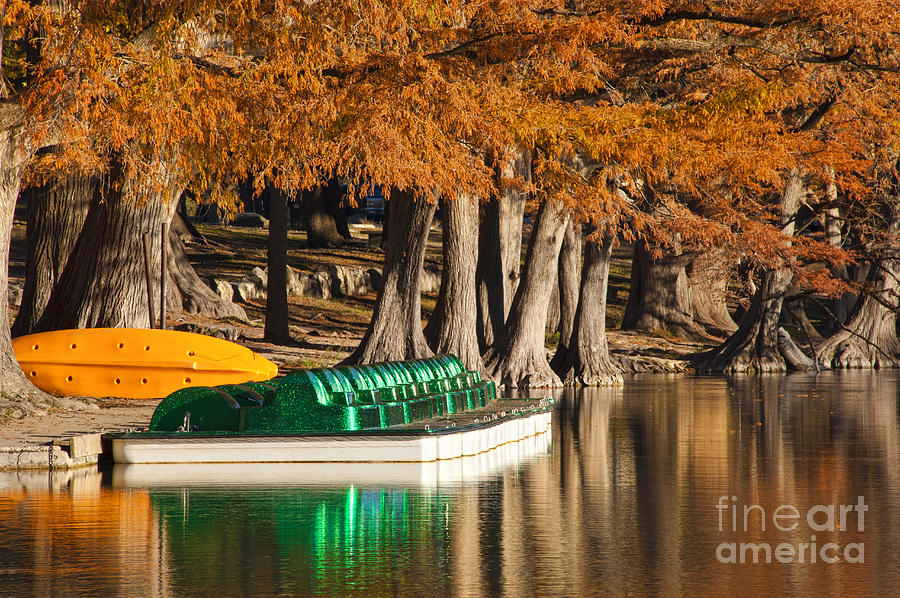 Fall Photograph - Indian Summer Lake with paddleboats by Andre Babiak