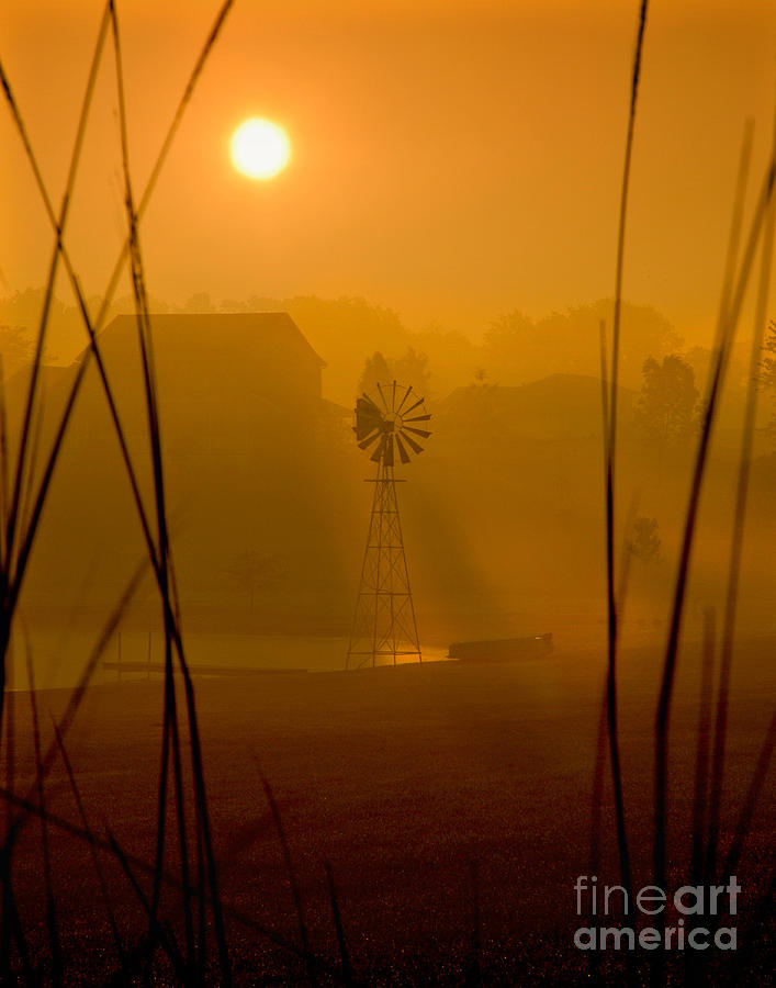 Indiana Misty Sunrise Photograph by Lee Craig