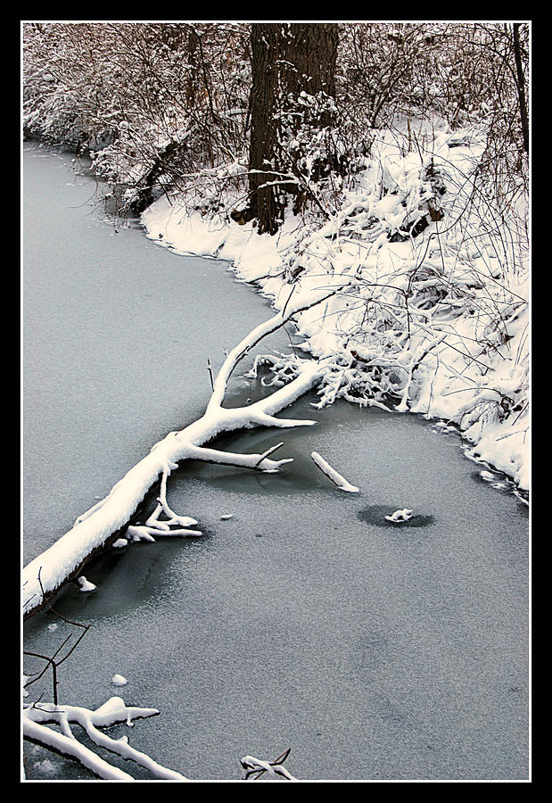 Indiana Winter Photograph by Lora Mercado
