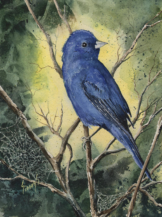 Bluebird Painting - Indigo Bunting by Sam Sidders
