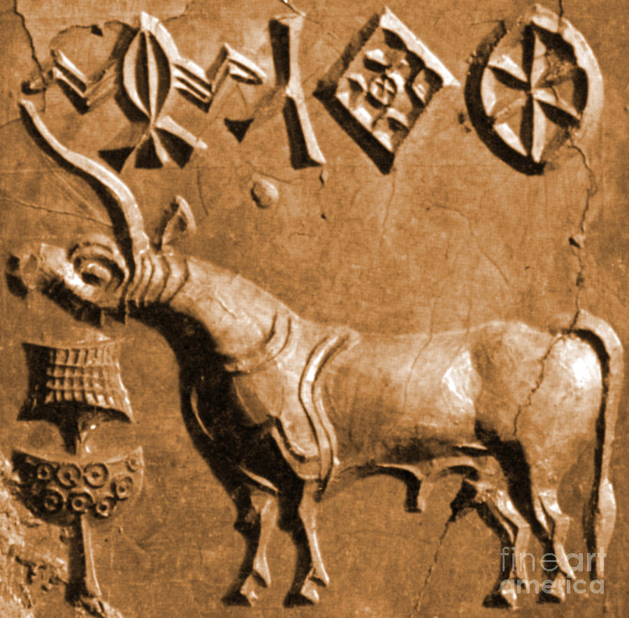 Indus Valley Unicorn Relief Photograph by Science Source