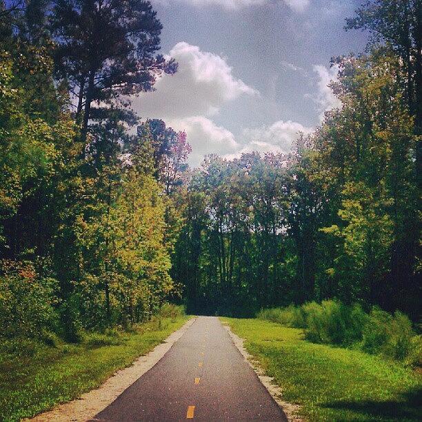 Infamous Neverending Greenways In Nc Photograph by P Cullen