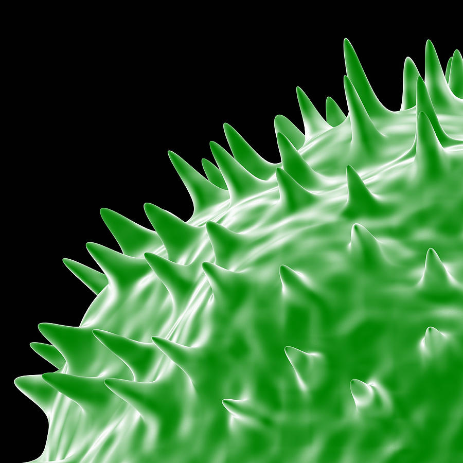 Flu Photograph - Influenza Virus Protein Spikes by Pasieka