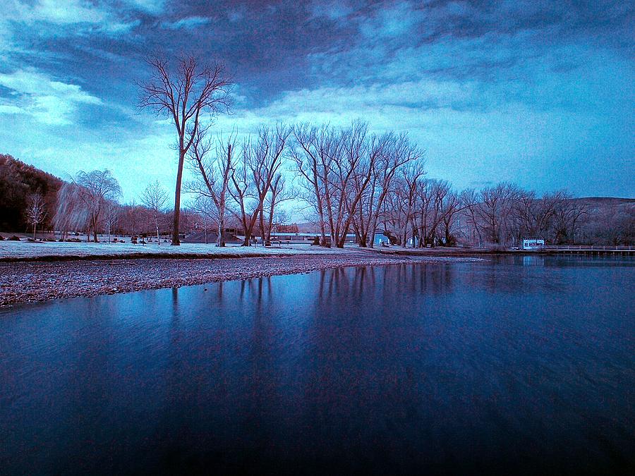 Tree Photograph - Infrared by the Lake by Joshua House