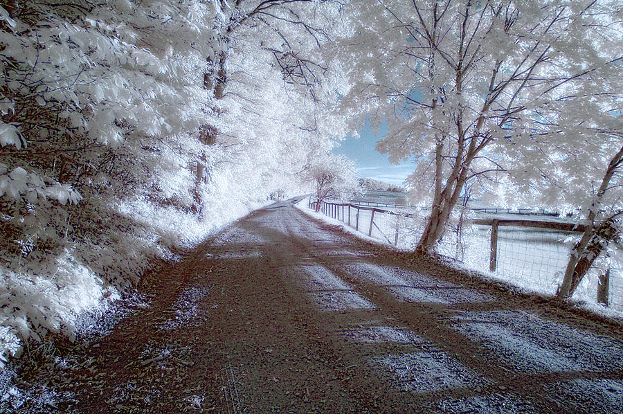 Infrared Snow in July Photograph by Gregory Blank
