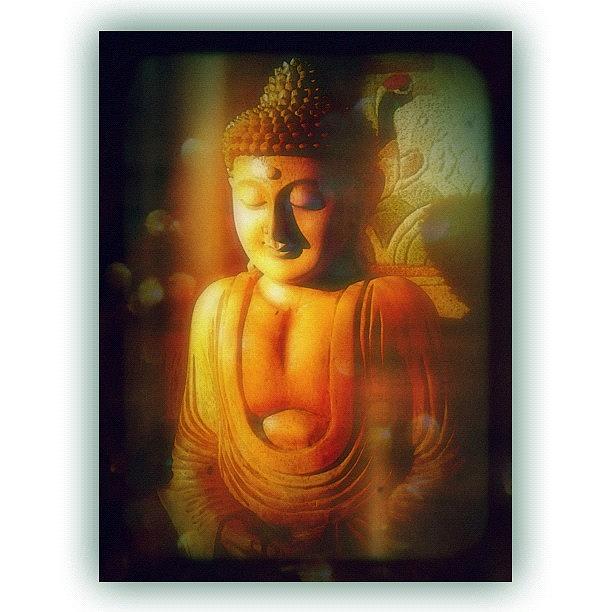 Buddha Photograph - Inner Light Shines Through by Paul Cutright