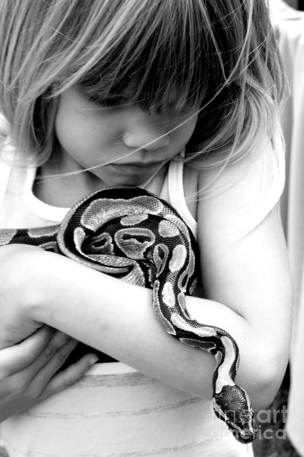 Snake Photograph - Innocence by Anjanette Douglas