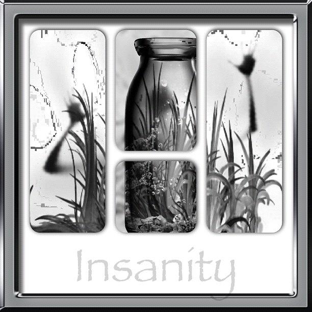 Blackandwhite Photograph - 🔲insanity🔲 ::: #insanity by Debbie Hearn