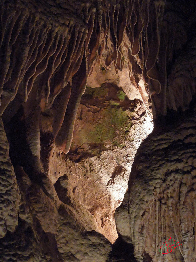 Inside Grotte Magdaleine Region Ardeche France Photograph by Colette V Hera Guggenheim