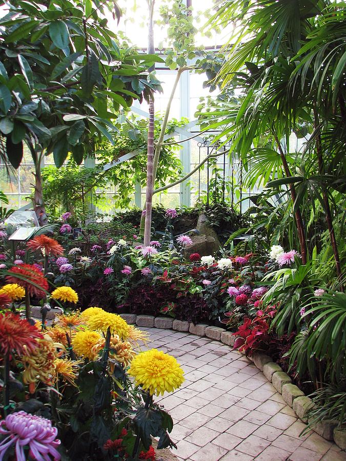 Inside the Seymour Conservatory Photograph by Chris Anderson