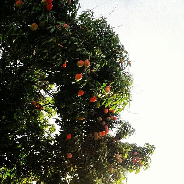 Summer Photograph - Inspirado En @giancagon #mango Pa To by Gustavo Nieto