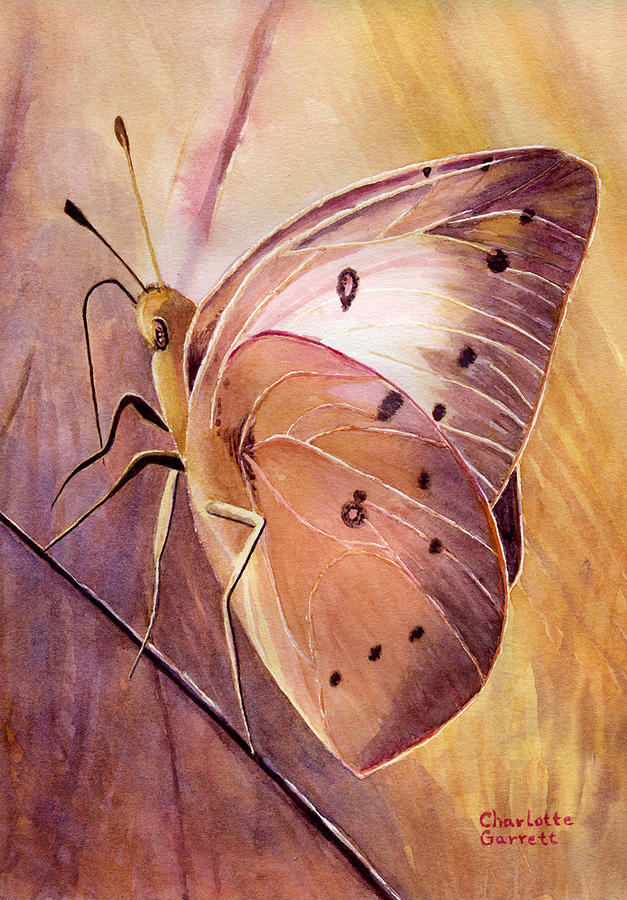 Inspiration Butterfly by Charlotte Garrett Inspiration Butterfly by Charlotte Garrett