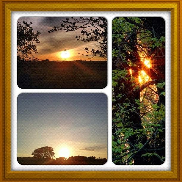 Sunset Photograph - #instacollage #sky #sun #sunset #clouds by Carolyn Ferris