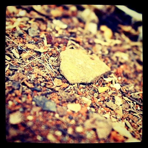 Nature Photograph - #instagram #instago #nature #rock by The Art.box