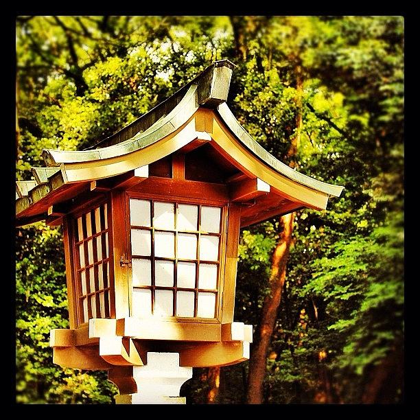 Cool Photograph - #instagram #iphone #iphonography #japan by Michael Rivero