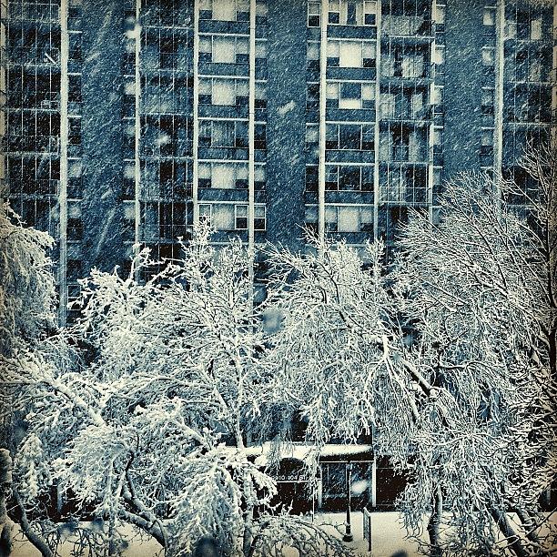 Spring Photograph - Instagram Is Filled With #yeg #snowday by Jolanda Thomas