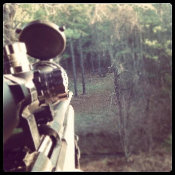 Nature Photograph - #instagram #nature #gun #rifle #hunting by Aaron Justice