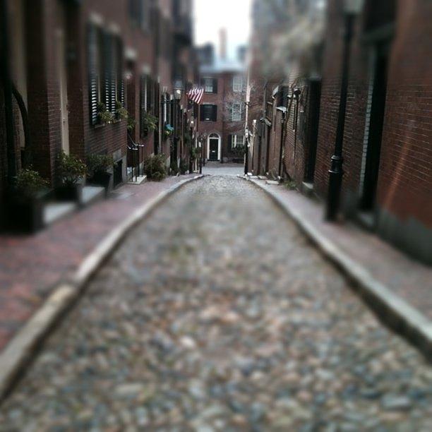 Boston Photograph - Instagram Photo by Fern Fiddlehead