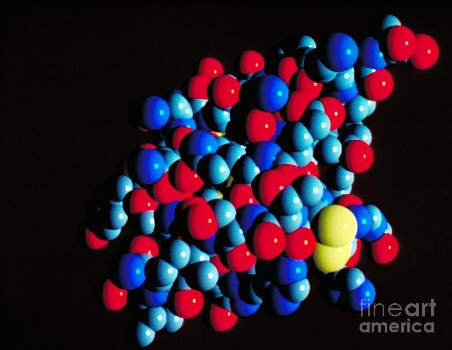 Biology Photograph - Insulin Molecule by Science Source