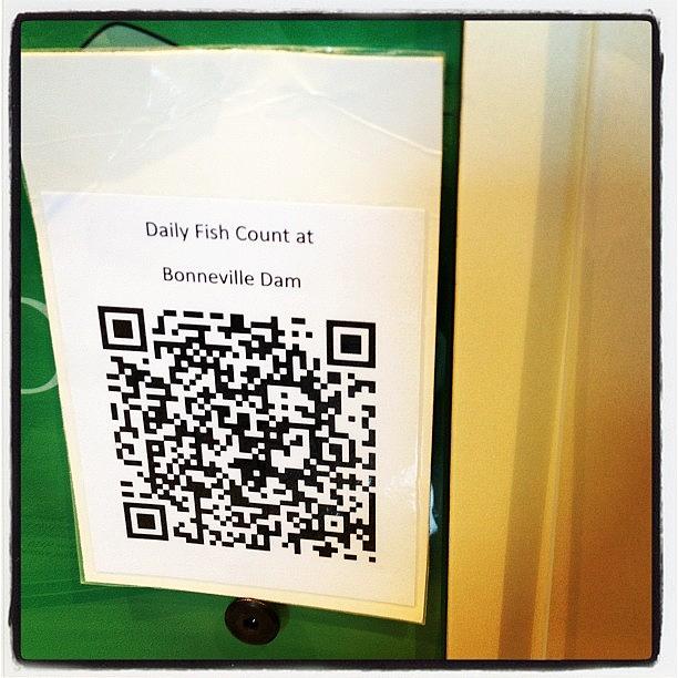 Interesting Use Of Qr Codes At Photograph by Rachel Houghton