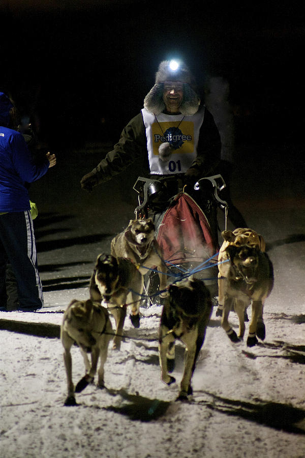 International Pedigree Stage Stop Sled Dog Race Jackson Hole WY Photograph by Benjamin Dahl