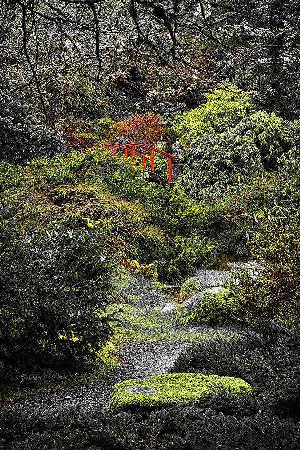 Intimate Garden Photograph by Ken Stanback