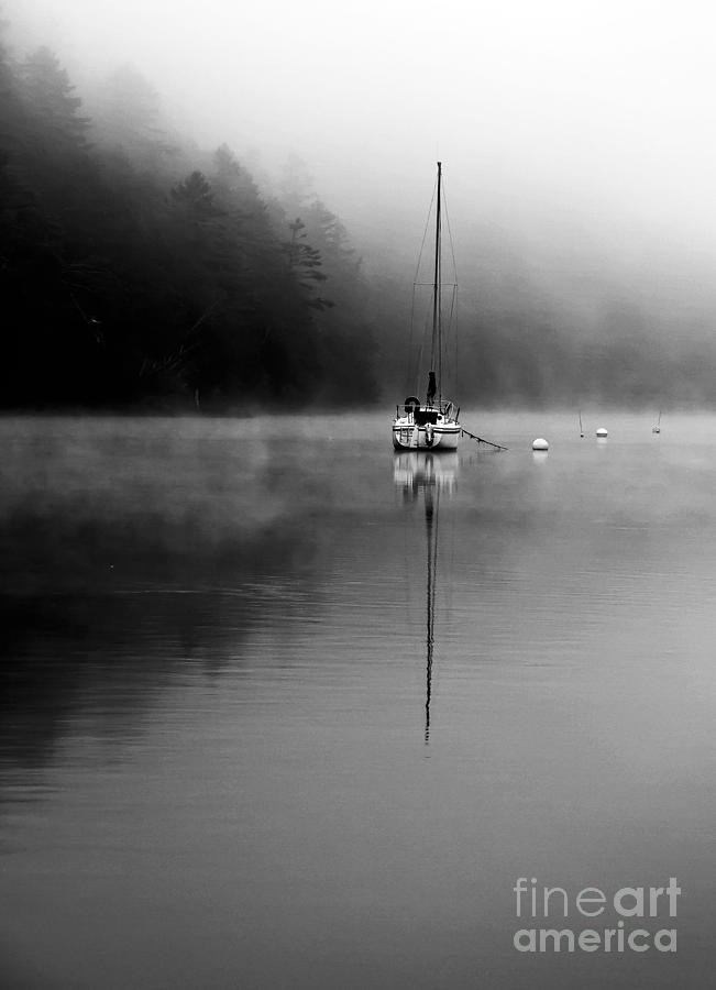 Into the Fog Photograph by Brenda Giasson