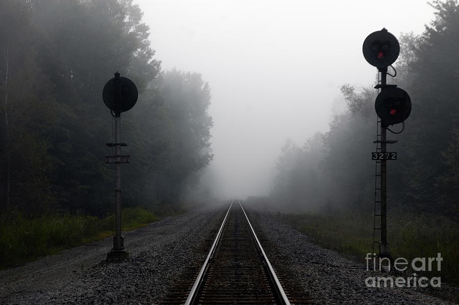 Into the Fog Photograph by Ronald Grogan