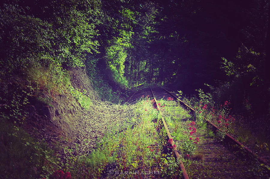 Rail Track Photograph - Into The Unknown by Sarai Rachel Rail Track Photograph - Into The Unknown by Sarai Rachel