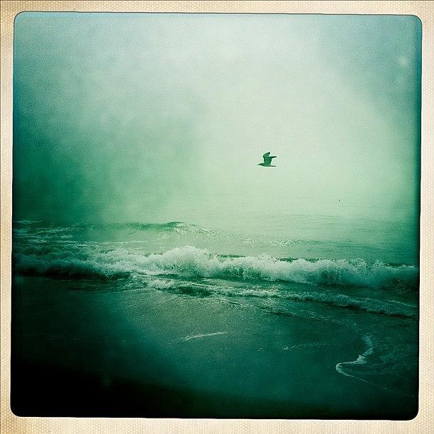 Beach Photograph - Into The Wind by Todd Kelley