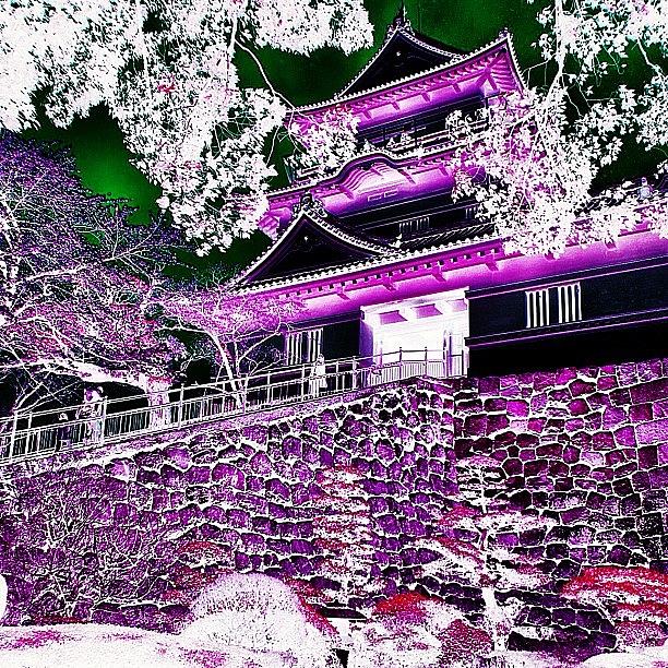 Architecture Photograph - Inverting The Colors Of Odawara by Julianna Rivera-Perruccio