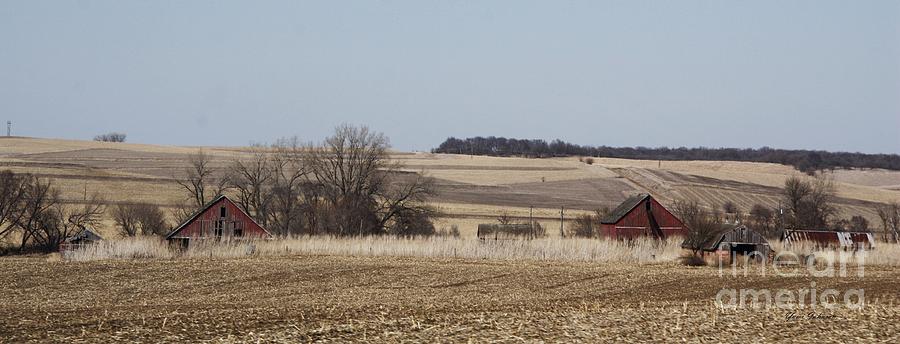 Iowa farmland Photograph by Yumi Johnson