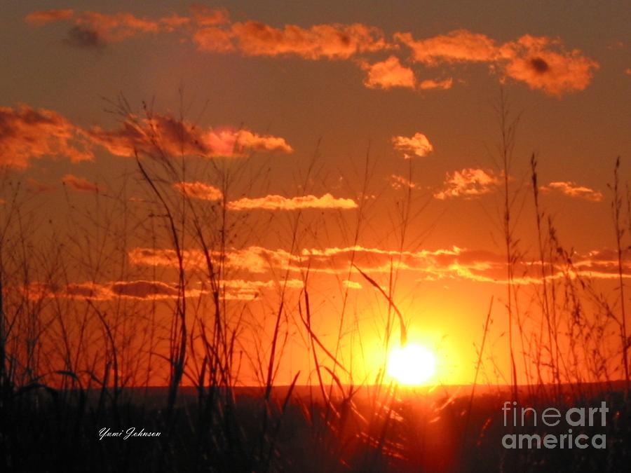 Iowa Sunset Photograph by Yumi Johnson