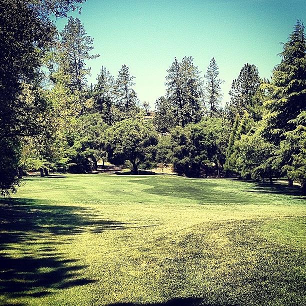 Golf Photograph - #iphonography #golf #nature by Mychal Clements